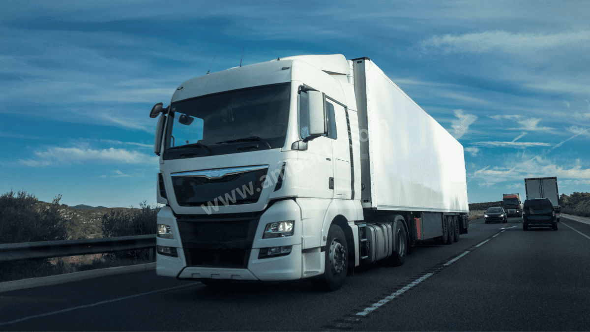 Ordu Şehirler Arası Taşıma